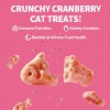 Just Try 13.4 OZ Urinary Tract Cat Treats for Indoor