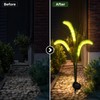 Solar Foxtail Garden Lights for Outdoor Decor – 3-Head LED