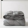 Pinch Pleat Down Feather Comforter, All Season Medium Warmth Ultra-Soft