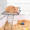 4 Pcs Sugar Glider Supplies Cage Accessories, Hamster Stainless Steel