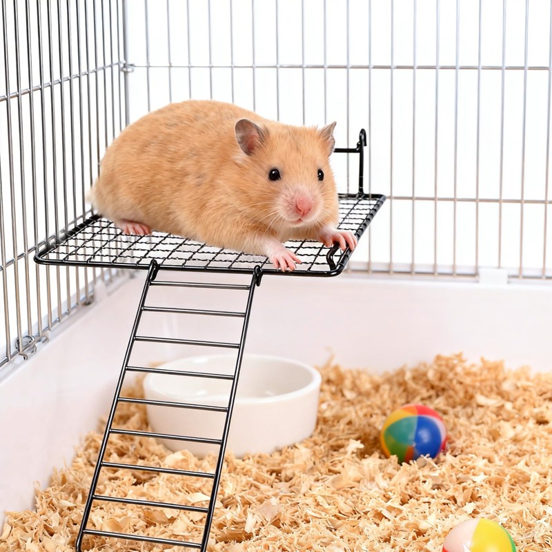 4 Pcs Sugar Glider Supplies Cage Accessories, Hamster Stainless Steel
