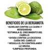 ALAZAN, ACONDICIONADOR CON BERGAMOTA, SABILA Y ROMERO 500 ML