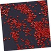 Abaodam 1000pcs Acrylic Rhinestone Crystals Wedding Decorations Accessories DIY Crafts