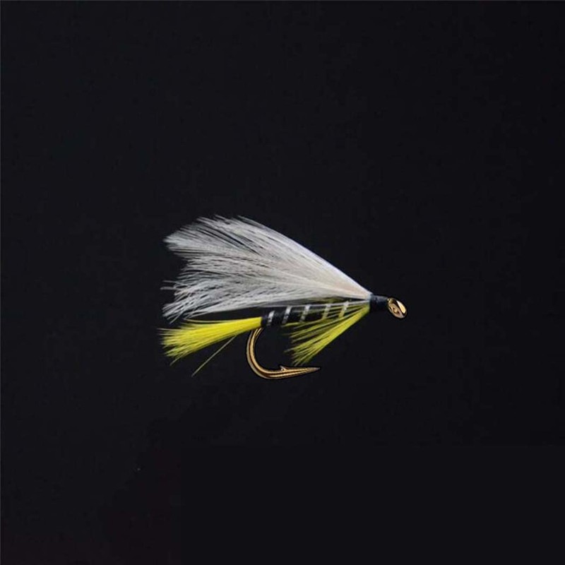Qievcrme 10 moscas de pesca con mosca para trucha, lubina