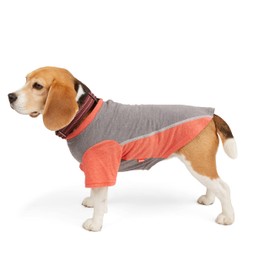 Reddy Petco Brand Grey/Red Cooling Dog Tee, X-Small, Gray/Red