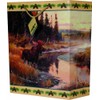 River's Edge Moose Design Gift Bag, Medium/10x13x5-Inch