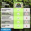 🌿 10,000 Emerald Zoysia Grass Seeds – Premium Lawn Turf