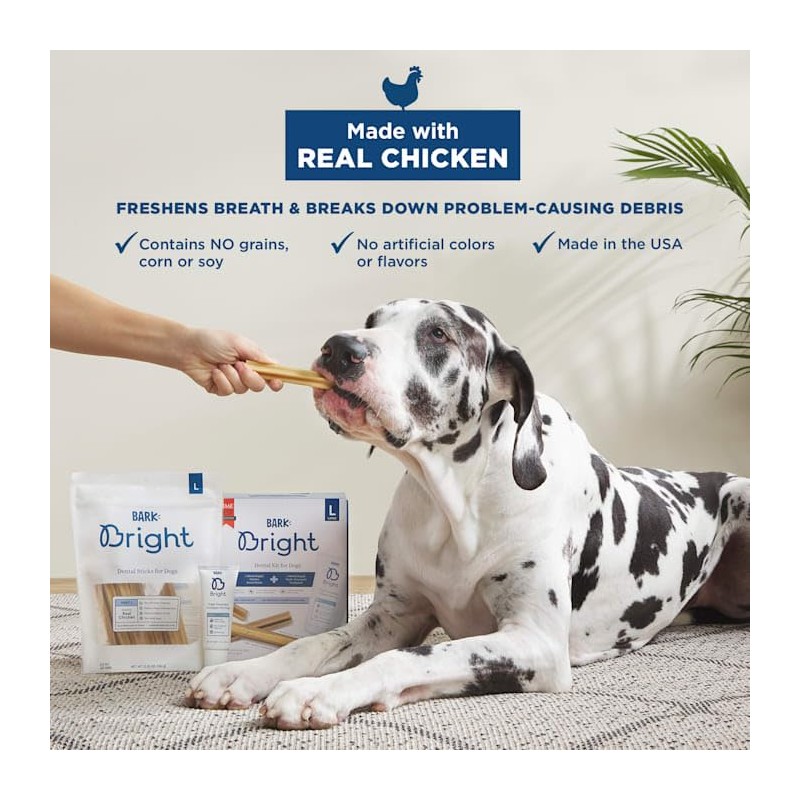 Bark BARK Bright Large Dental Kit for Dogs, 26.29 oz,31