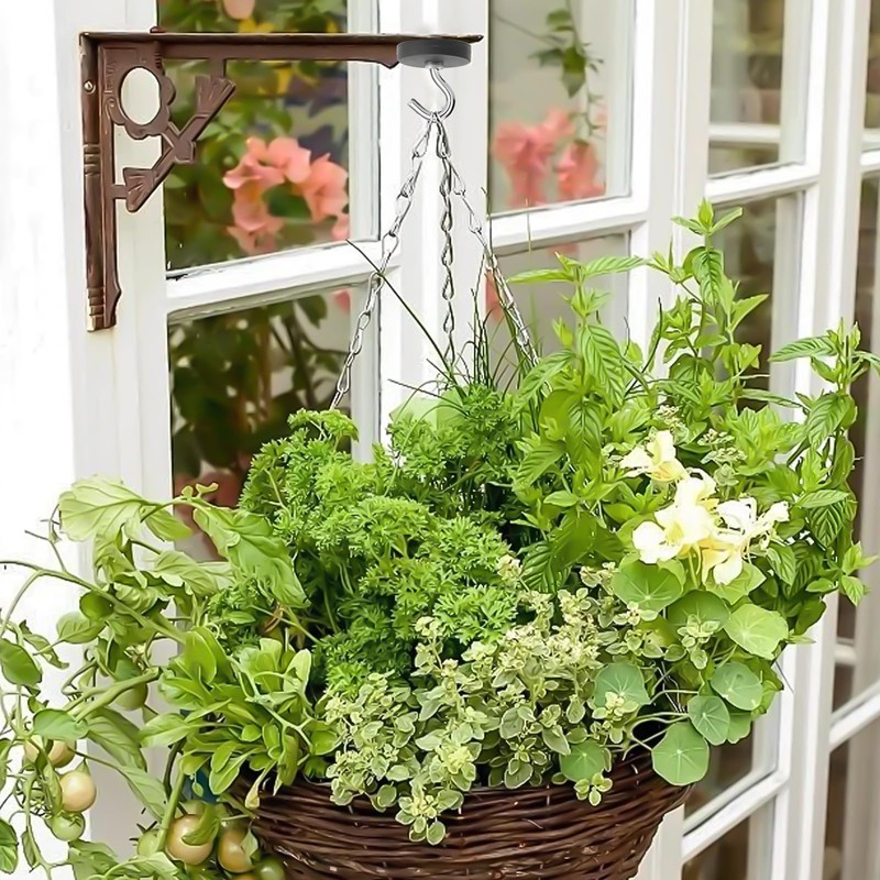 Leikurvo 6 pieces magnetic hooks, black: 43 mm strong magnets