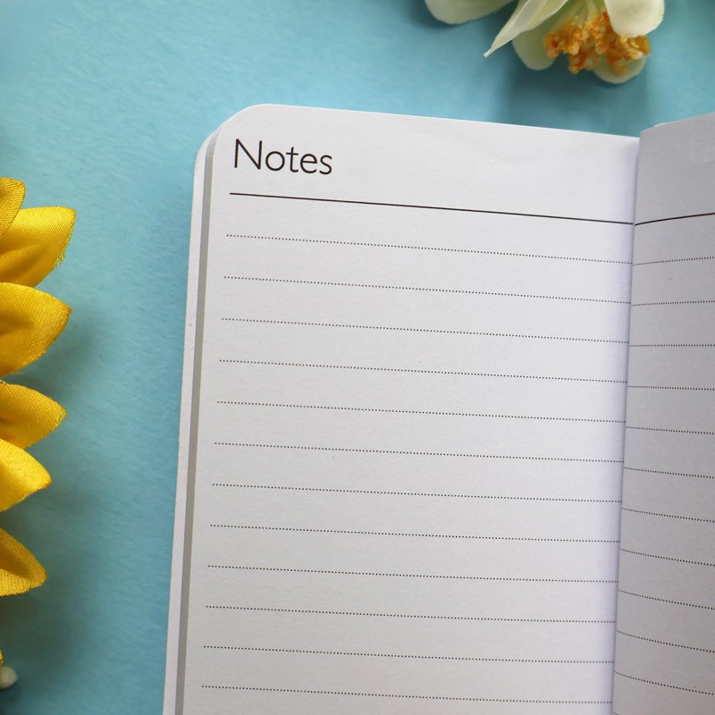 Peter Rabbit 2025 Mini Weekly View Diary