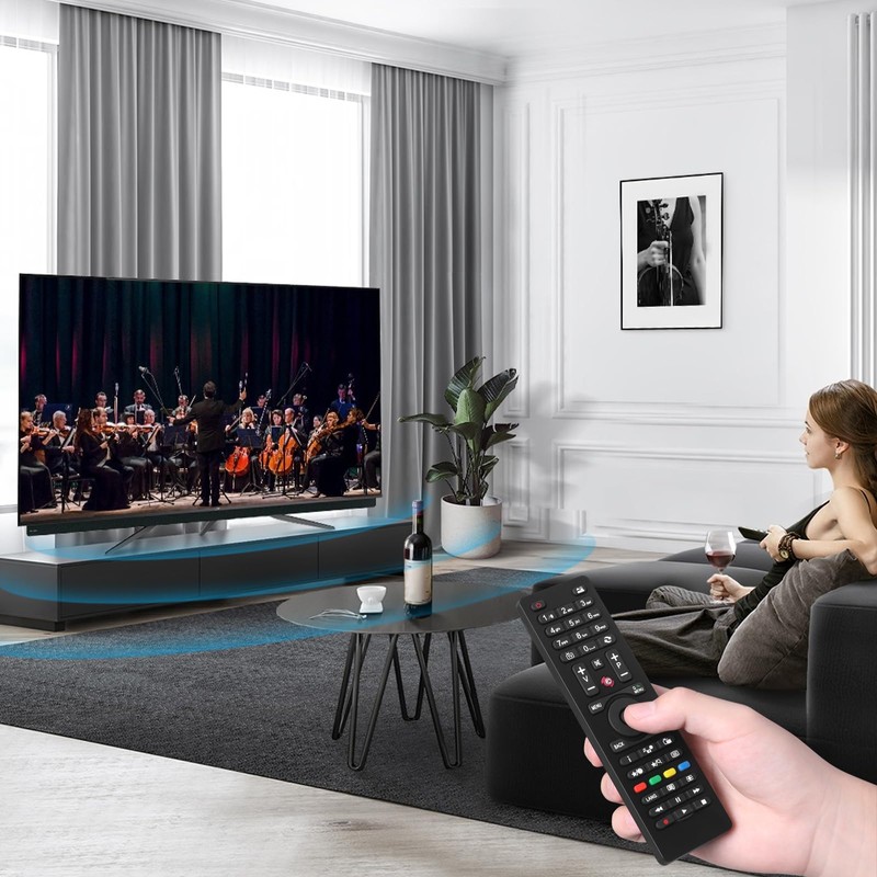 Pack of 2 RC4875 Universal Replacement Remote Control Compatible with