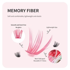 ANNAFRIS Cluster Lashes Colored 30D Individual Eyelashes 300Pcs False Lashes Individual Cluster DIY Lash(Colored 30D)