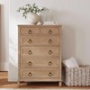Ruiao Cupboard Knobs Cabinet Knobs Drawer knobs, Zinc Alloy Gold