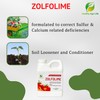 Healthy Agri Life - Sulfur Lawn and Plant Food Liquid