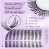 Pawotence Wispy Lash Clusters Kit Cat Eye Lash Extension Kit
