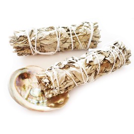 Mini Smudge Kit: Genuine Abalone Shell and Two 4" California White Sage Sticks Positive Energy & Purification