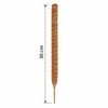 Moss Pole for Climbing Indoor Plants – Plant Fiber Support