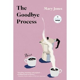 The Goodbye Process: Stories