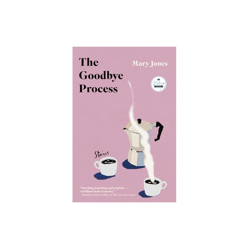 The Goodbye Process: Stories