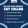 Leather Studded Cat Collar with Safety Breakaway Elastic, 12" x