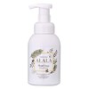 Iwatani Alara Medicated Foam Hand Soap, 11.8 fl oz (350