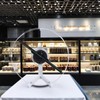 HFZ 3D Hologram Fan with Transparent Protective Cover,WiFi & App-Controlled,