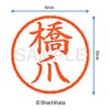 Shachihata Stamp Name 6 Correction Stamp XL - 6 Stamp
