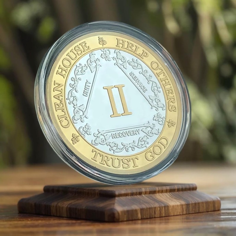 Silver & Gold 1-10 Years Alcoholics Anonymous Medallion AA Coin