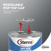 Sterno Sterno Fuel Cans - 4-Hour Burn, Chafing Dish Fuel