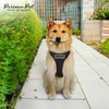 Parisian Pet Dog Harness - Adjustable Black Dog Vest Harness