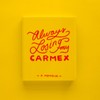 Carmex Lip Balm Stick - Moisturising Lip Care for Smooth