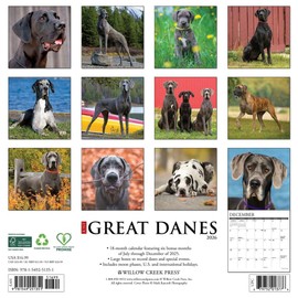 Great Danes 2026 12" x 12" Wall Calendar