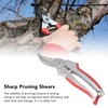 Professional Pruning Shears AT303 Tree Trimmers Secateurs Pruning Tool for
