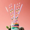 Swig Life Reusable Straws Bella Rosa + Navy Glitter Tall