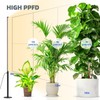 Barrina T10 Pro Standing Grow Light with Timer, 42W, 169