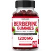 Berberine Gummies with Ceylon Cinnamon (1,200mg) 60 gummies - Healthcare
