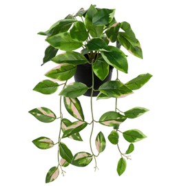 Briful Small Fake Plants Indoor Greenery Realistic Faux Trailing Plant Artificial Potted Plants in Black Pot N' Joy Pink Green Leaf Houseplant for Living Room Table Kitchen Counter Shelf