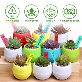 Pack of 300 Plant Signs with Marker Pen, Pink, Yellow, Green, Blue, Red, 60 Pieces Each, Made of Premium Plastic, Plant Stakes for Labelling, Weatherproof, Plug-in Labels Plants for Vegetables,