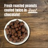 Double Dipped Peanuts Milk Chocolate Covered Peanuts (1 Pound) Wholesale