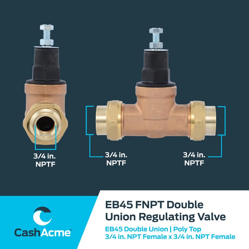 Cash Acme EB45 Pressure Regulating Valve, Double Union, 3/4 Inch