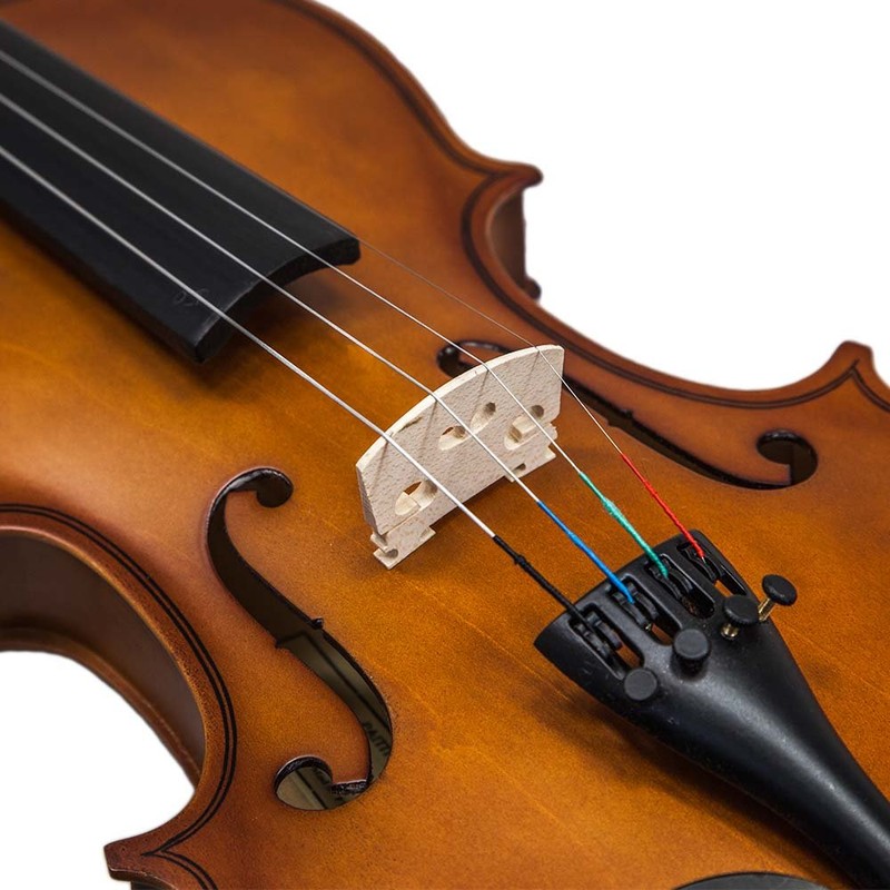 SKY(Paititi) 4/4 Size SKYVN101 Student Violin with Lightweight Case, Brazilwood