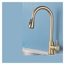 XKHLQLPEF 304 Stainless Steel Kitchen Sink Faucet Black Brushed Sink Vegetable Basin Pull-Out Faucet Kitchen Accessories (Color : G)