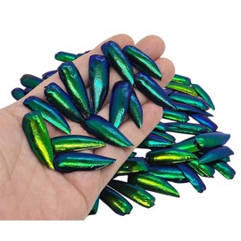 WitnyStore Jewel Beetle Wings Emerald Green 100 Pieces Set Metallic Beetles Wing Covers Real Elytra Elytron Genuine Durable Sternocera aequisignata Shards Jewellery Dressmaking Mask Mozaics Embroidery