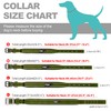 Fida Padded Dog Collar, Metal Belt Buckle Dog Collar with