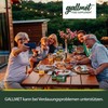 GALLMET Natural 60 x Ox Bile 125 mg bile salt