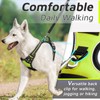 Eagloo Dog Harness for Large Dogs, Anti-Pull Dog Harness with