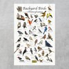 Where's Wildlife Backyard Birds of Pennsylvania Bird Identification Poster (12"