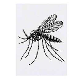 'Mosquito Resting' Temporary Tattoo - Water Resistant, Skin-Safe, Non-Toxic Transfer (TO00077633)