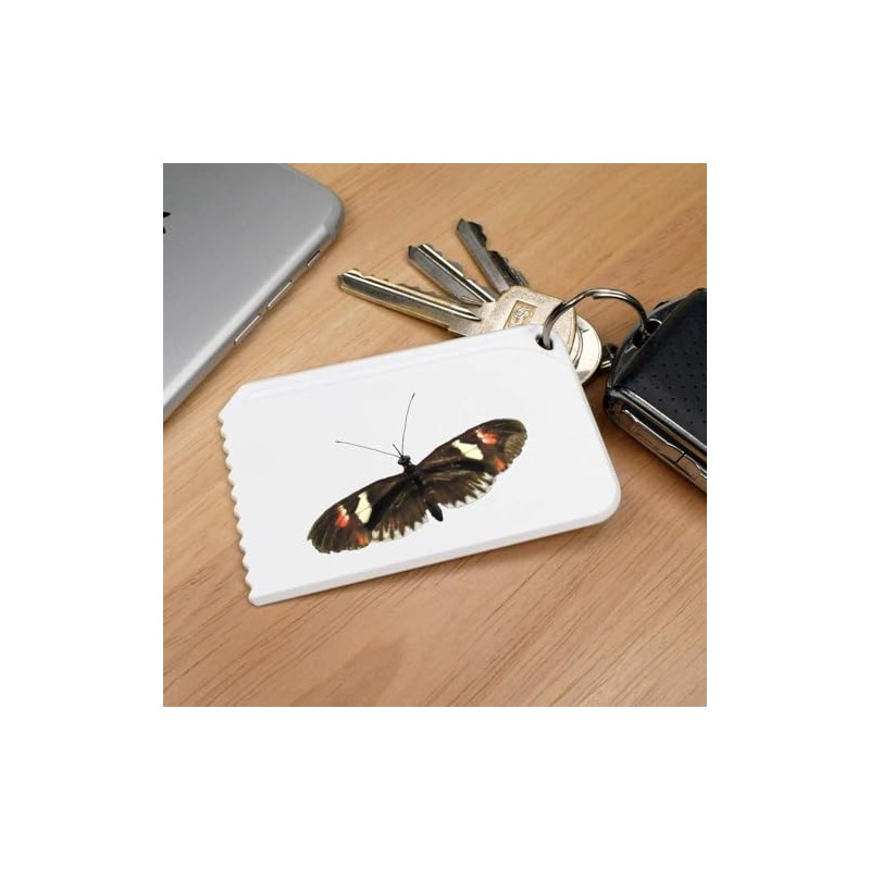 Azeeda 'Postman Butterfly' Plastic Ice Scraper (IC00033896)