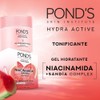 Pond's Cuidado Facial Fruity Hydra Fresh Sandía, Gel Hidratante, 110